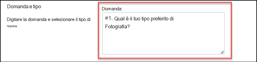 screenshot del tipo di domanda