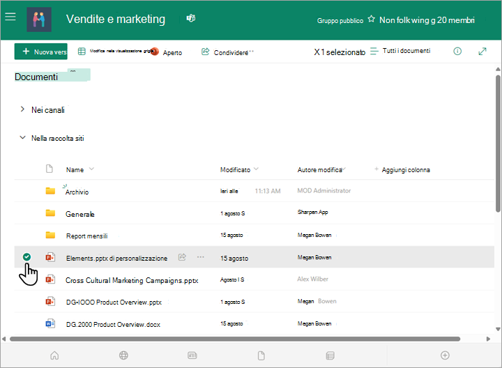 È possibile selezionare un file nella raccolta documenti.
