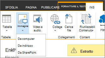 Pulsante Inserisci immagine con menu origini dati sottostante.