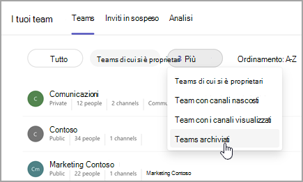 Screenshot della pagina I tuoi team con l'opzione per visualizzare i team archiviati. Selezionare l'elenco a discesa accanto a Teams di cui si è proprietari per selezionare Team archiviati.