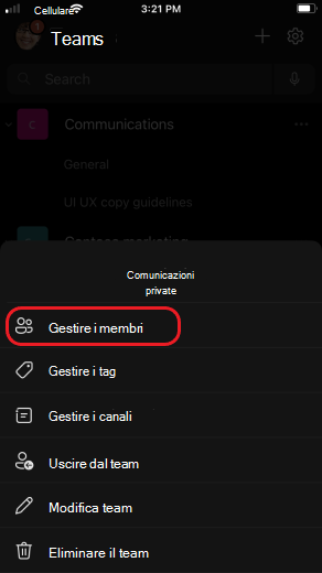 iOS per gestire i membri del team