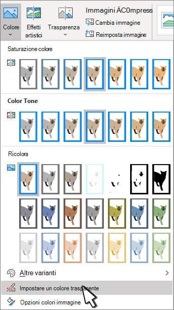 Menu Colore con l'opzione Imposta trasparenza selezionata.