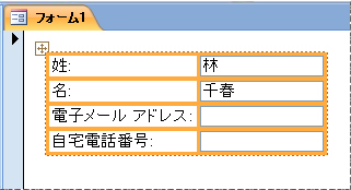 フォームの集合形式レイアウトに含まれるフィールド