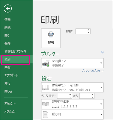 [ファイル] > [印刷] をクリックしてワークシートをプレビューします