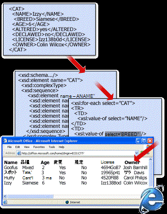 スキーマと変換を含む XML ファイルの基本構造。