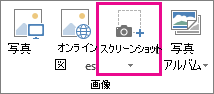 [大きなスクリーンショット] ボタン