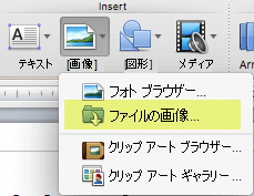 リボンの [ホーム] タブの [挿入] で、[ファイルから図 > 図] をクリックします。