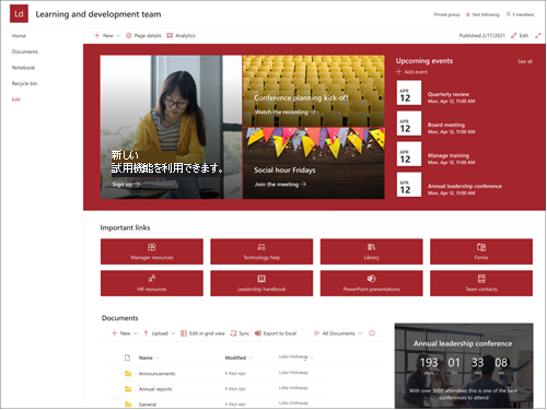 リーダーシップと開発チームのサイト テンプレートのプレビューのスクリーンショット