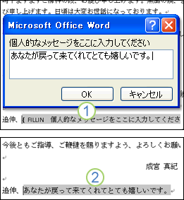 FILLIN フィールドの使用例