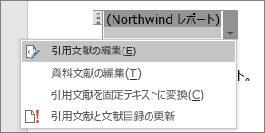 引用文献の下に使用可能なオプションが表示される
