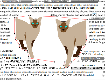 編集されていないラップ ポイント