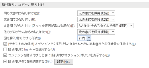 コピー - Wordにオプションを貼り付ける