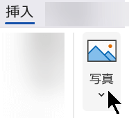 リボンの [挿入] タブで、[挿入]、[画像] の順に選択します。
