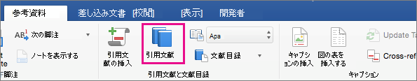 [参照設定] タブの [引用文献] が強調表示されています。