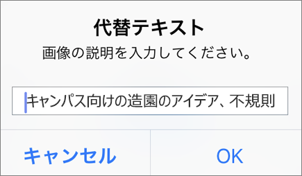 Outlook for iOS の画像の [代替テキスト] メニュー