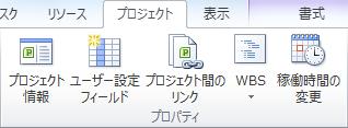 [プロジェクト] タブの [プロパティ] グループ