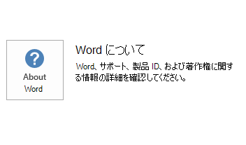 Word MSI のスクリーンショット