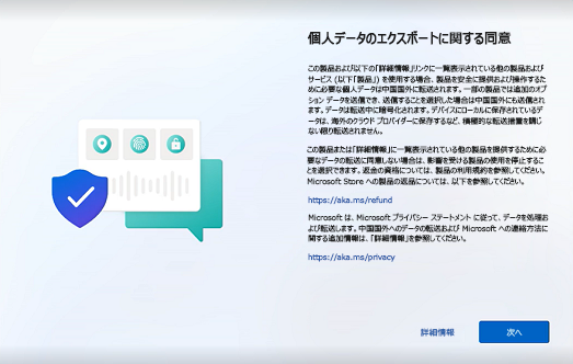 Windows 11 プライバシー ページ