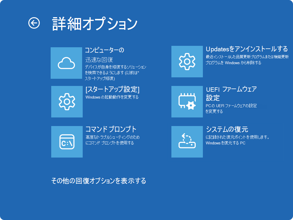 詳細オプションと新しい QMR エントリを示すWindows REのスクリーンショット。