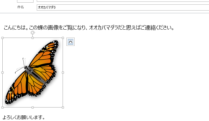 画像は現在メッセージに挿入されています。