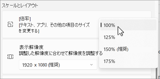 スケールとレイアウトのオプションのスクリーンショット。