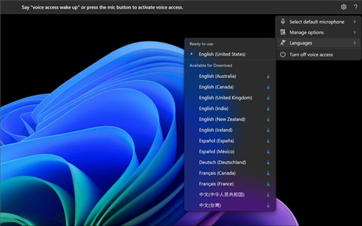 音声アクセスのサポート用に言語の一覧を開き、1 つを選択します。