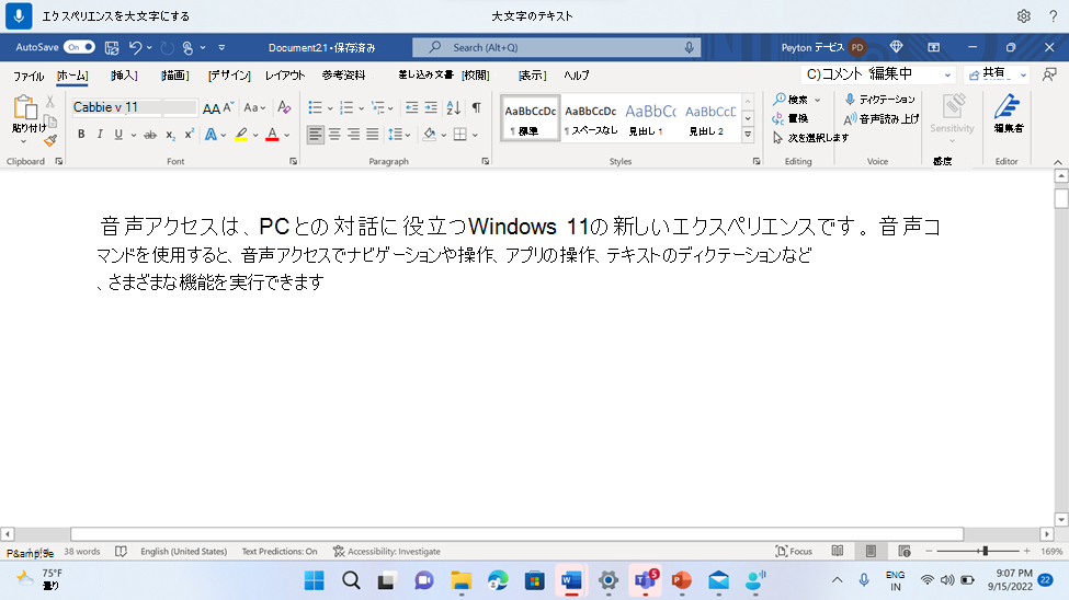 Word音声アクセス コマンドの大文字を示すドキュメント。