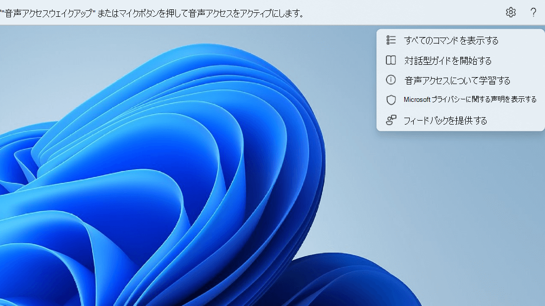 音声アクセス UI の右端にある [ヘルプ] ボタンが展開され、さまざまなオプションが表示されます。