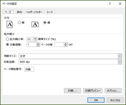 [ページ設定] > [ページ オプション] のスクリーンショット