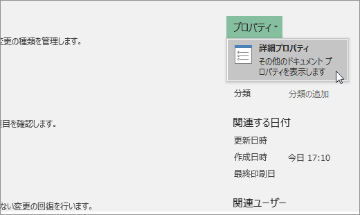 詳細プロパティ