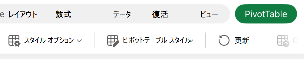 iPad の [スタイル オプション] ボタン