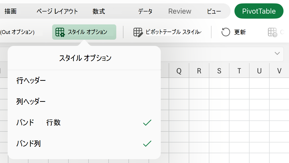 iPad の [スタイル オプション] ドロップダウン
