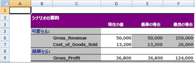 Excel の [シナリオの情報] レポート