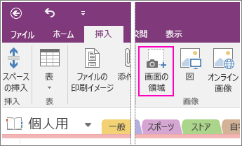 OneNote 2016 の [画面の領域の挿入] ボタンのスクリーンショット