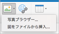署名用の画像の挿入オプションを表示