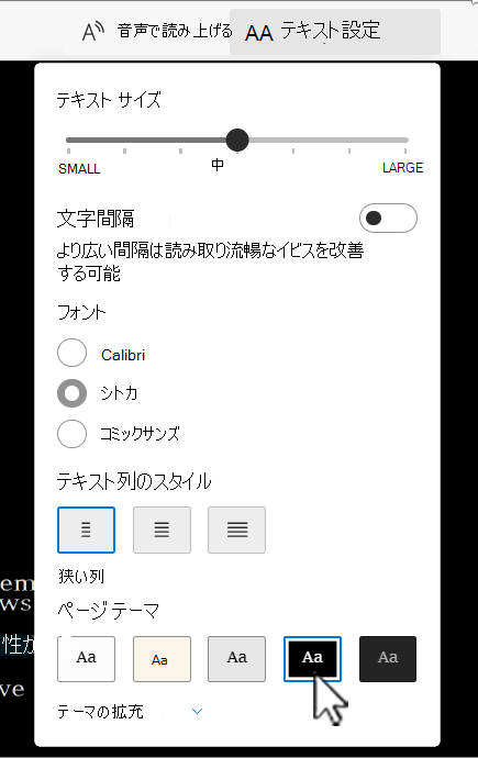 Word のイマーシブ リーダーのテキスト設定オプション