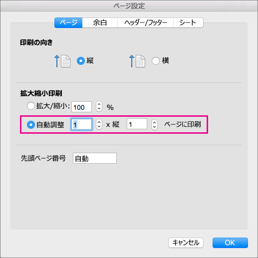 [ページ設定] ダイアログ ボックスで [自動調整] が選択されている