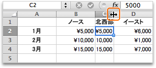 列見出し C と D の間でポインターを移動してからダブルクリックする