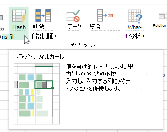 リボンのフラッシュ フィル オプション