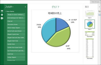 ギャラリー ビューで表示したブックの例