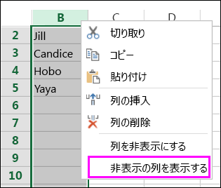 [再表示] オプション