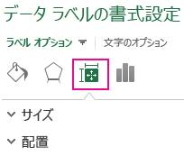 データ ラベルの書式設定 & プロパティ アイコンとウィンドウのサイズ