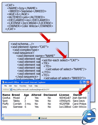 スキーマと変換を含む XML ファイルの基本構造。