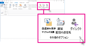 リボン上の [その他のオプション] グループ