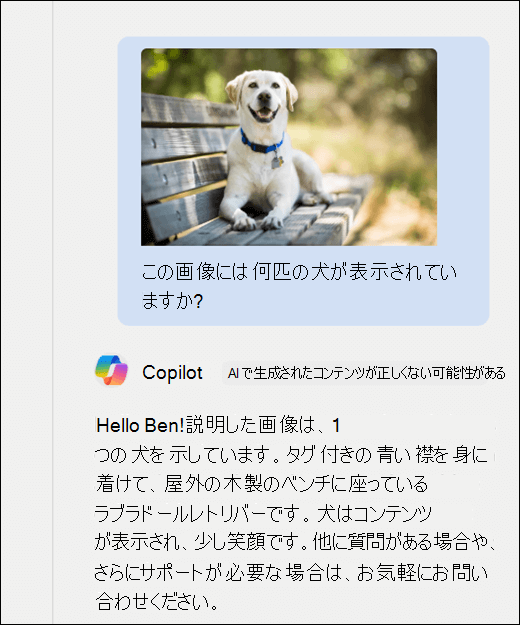 Copilot のスクリーンショット。[この画像に表示されている犬の数] というプロンプトと共に、犬の画像が貼り付けられていた。Copilot は正確に応答し、画像の追加の説明を提供しました。