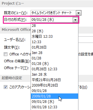 [プロジェクトのオプション] ダイアログ ボックスの日付の形式一覧