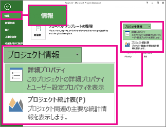 [プロジェクト情報] メニューの [詳細プロパティ] が強調表示されている