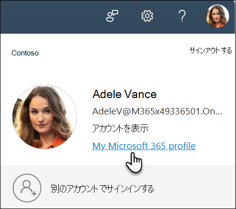 自分の画像を選び、[プロファイル] を選んで [プロファイル] に移動する