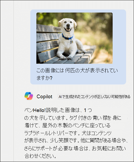 Copilot のスクリーンショット。[この画像に表示されている犬の数] というプロンプトと共に、犬の画像が貼り付けられていた。Copilot は正確に応答し、画像の追加の説明を提供しました。