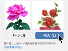 ウィンドウの下部にある [挿入] ボタンを選択する